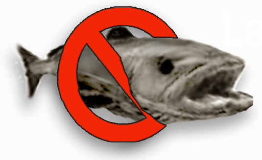 chilean sea bass, antarctic toothfish
